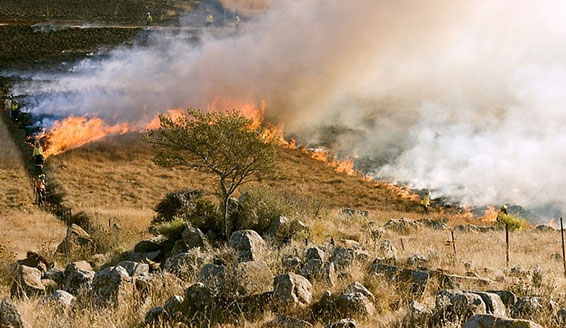 Wildfire Storm