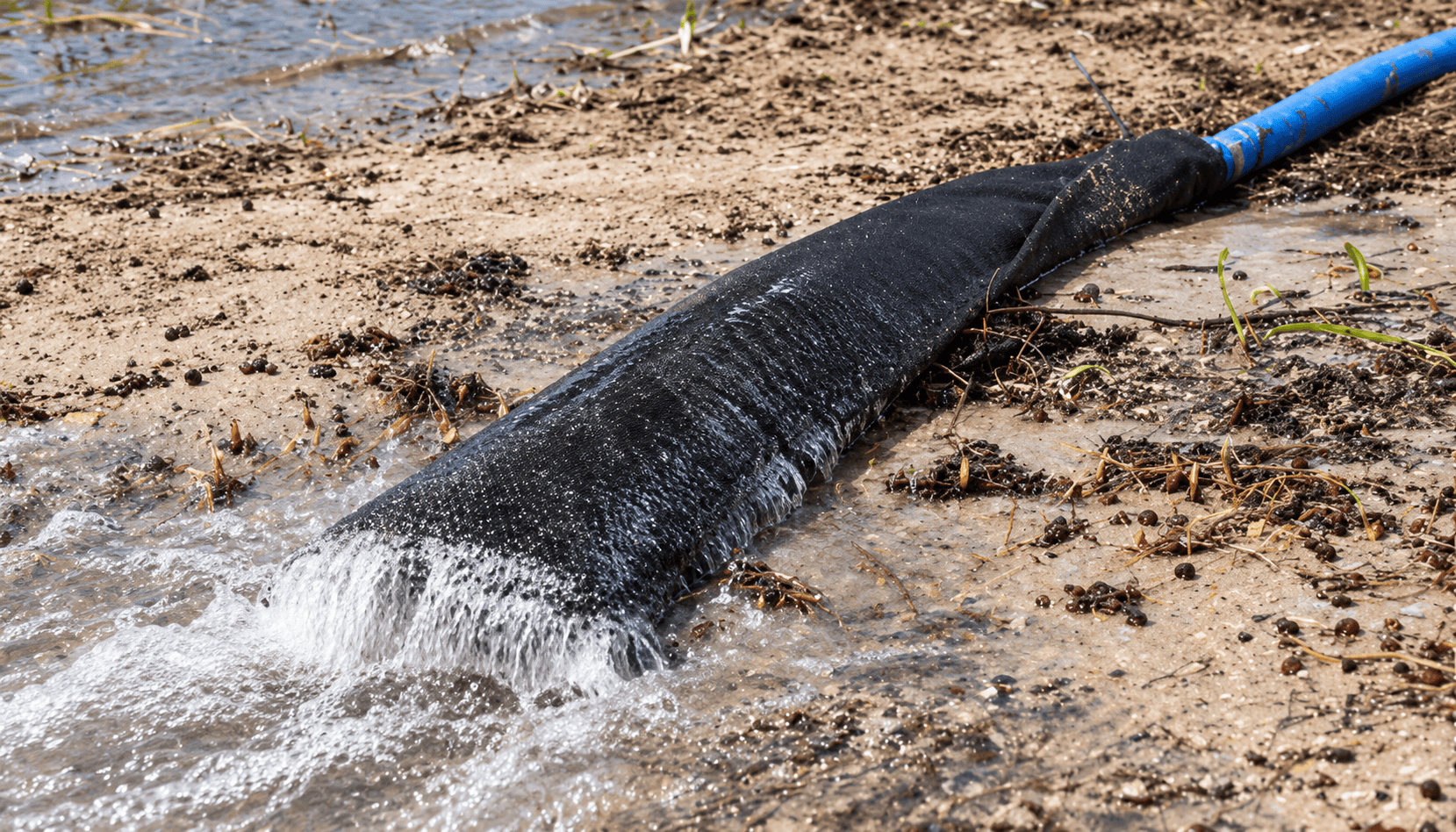 Black geotextile dewatering sock connected to a blue discharge hose, filtering sediment-laden water as cleaner water drains through the fabric near a shoreline.